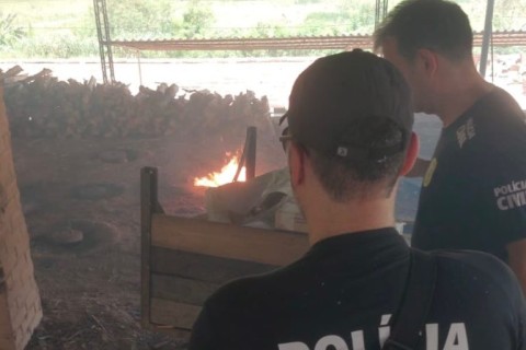 Polícia Civil incinera drogas apreendidas em operações