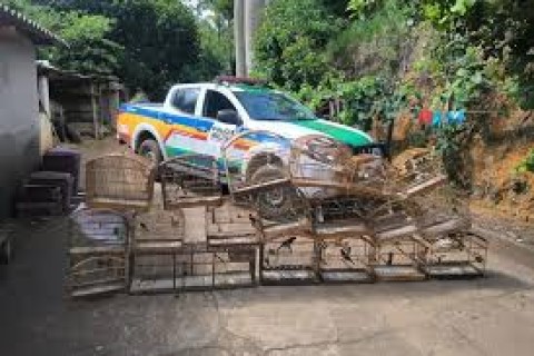 Idoso é preso e multado em mais de R$ 30 mil por manter pássaros em cativeiro