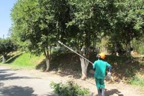 Prefeitura de Muriaé realiza serviços de arborização, jardinagem e paisagismo em diversos pontos da cidade