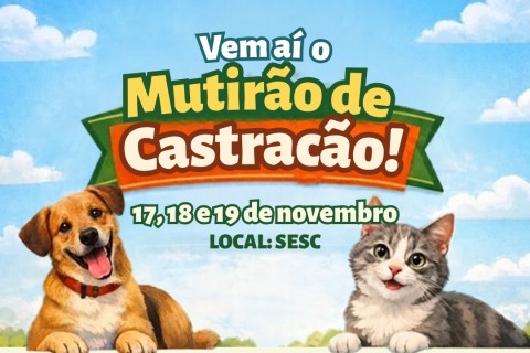 Mutirão de Castração: agendamentos terminam nesta quinta, 29 de outubro
