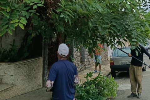 Prefeitura realiza serviços de arborização, jardinagem e paisagismo em diversos pontos