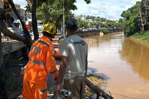 Prefeitura de Muriaé e Corpo de Bombeiros realizam retirada de árvores às margens do Rio Muriaé