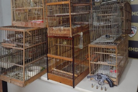 Ações da Patrulha Rural em Carangola